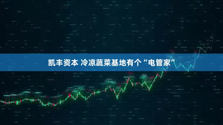 凯丰资本 冷凉蔬菜基地有个“电管家”
