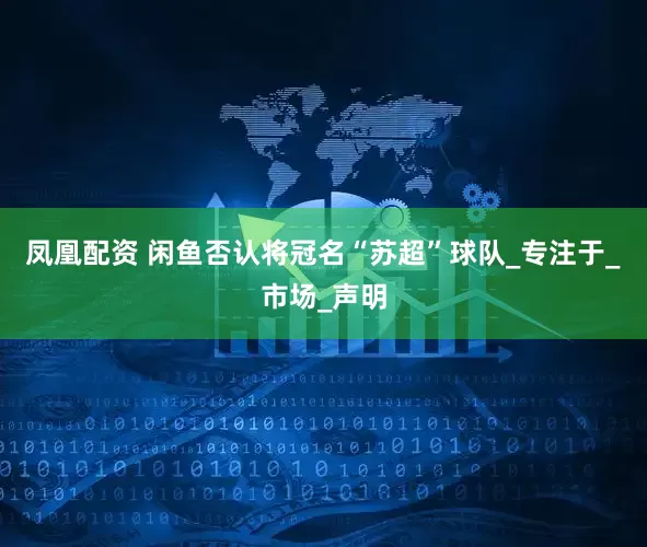 凤凰配资 闲鱼否认将冠名“苏超”球队_专注于_市场_声明