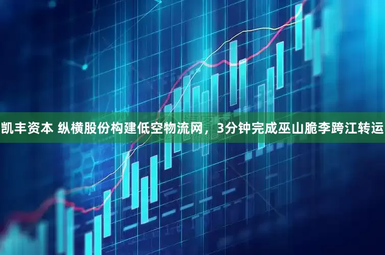 凯丰资本 纵横股份构建低空物流网，3分钟完成巫山脆李跨江转运