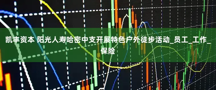 凯丰资本 阳光人寿哈密中支开展特色户外徒步活动_员工_工作_保险