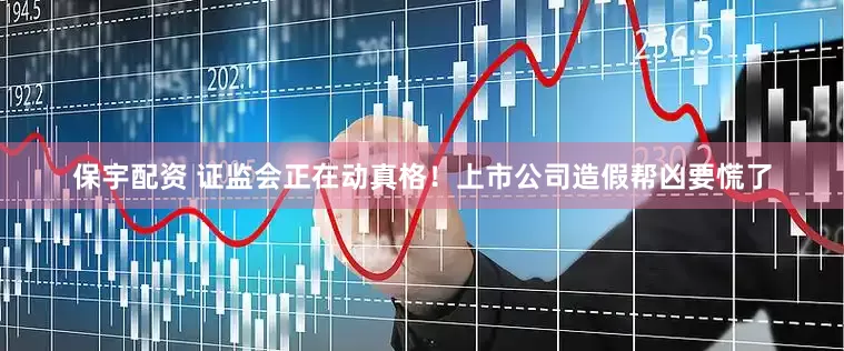 保宇配资 证监会正在动真格！上市公司造假帮凶要慌了